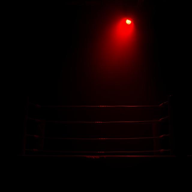 Fight Night